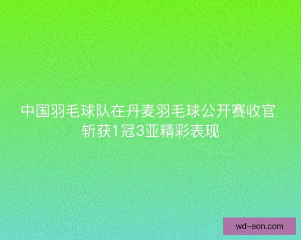 中国羽毛球队在丹麦羽毛球公开赛收官 斩获1冠3亚精彩表现