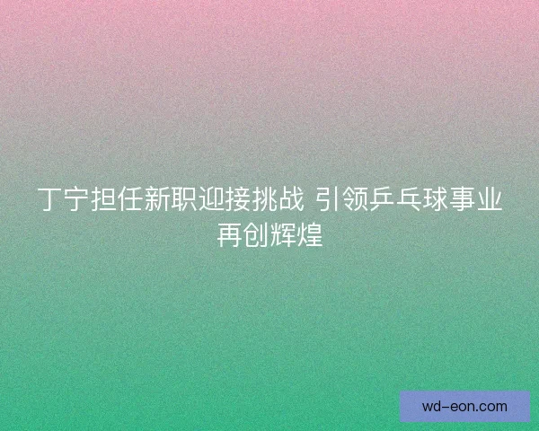 丁宁担任新职迎接挑战 引领乒乓球事业再创辉煌